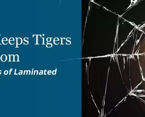 Laminated Glass Keeps Tigers Out of Your Bedroom and Other Surprising Benefits of Laminated Glass in Architecture