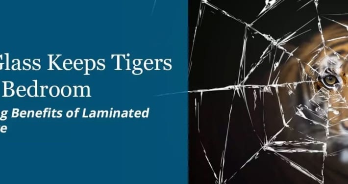 Laminated Glass Keeps Tigers Out of Your Bedroom and Other Surprising Benefits of Laminated Glass in Architecture