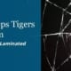 Laminated Glass Keeps Tigers Out of Your Bedroom and Other Surprising Benefits of Laminated Glass in Architecture